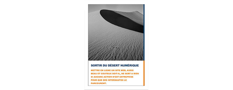 Livre blanc : Sortir du Désert Numérique